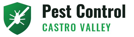 Castro Valley Pest Control